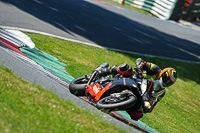 cadwell-no-limits-trackday;cadwell-park;cadwell-park-photographs;cadwell-trackday-photographs;enduro-digital-images;event-digital-images;eventdigitalimages;no-limits-trackdays;peter-wileman-photography;racing-digital-images;trackday-digital-images;trackday-photos